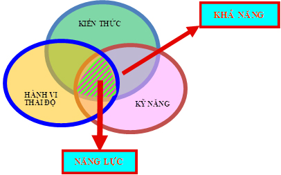 Mô hình đánh giá nghề nghiệp ASK hay KSA là gì ?