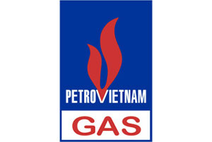 PV Gas chiếm 70% thị phần nhưng không độc quyền